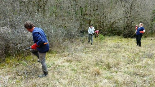 Invitation Chantier nature à partir de 9h30 (suite report du 15/12)
