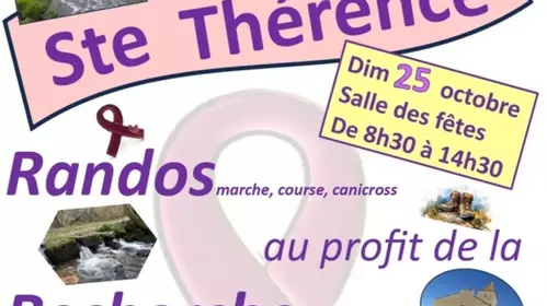 RANDOS AU PROFIT DE LA RECHERCHE MEDICALE